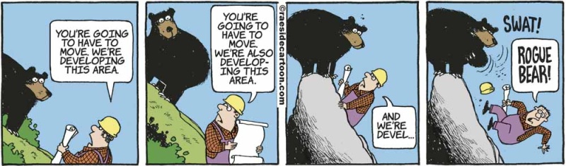 bearrogue