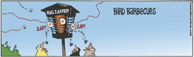 birdbbq