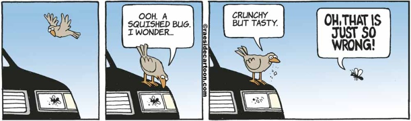 birdsdeadbug