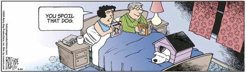 doghouse_1655111108