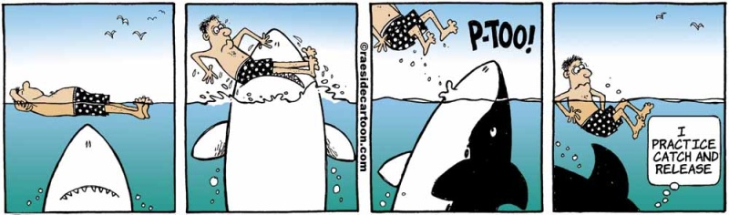 sharkrelease