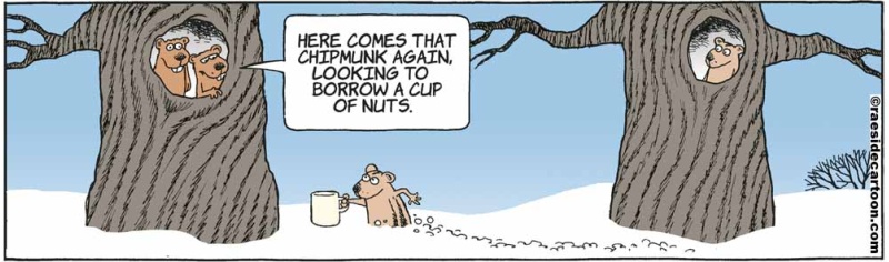 squirrelborrowing