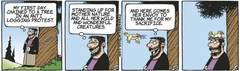 birdprotest