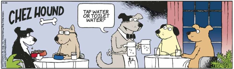 chezhound