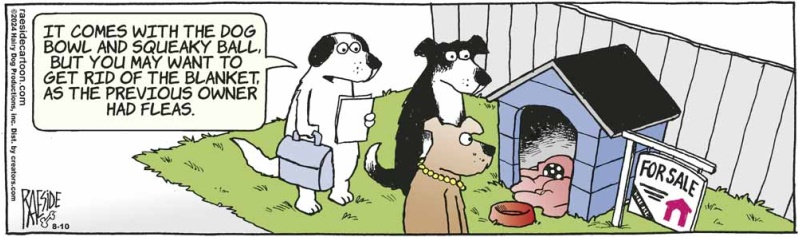 doghouse