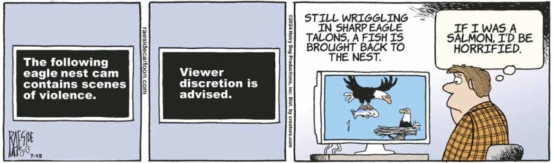 eaglecam