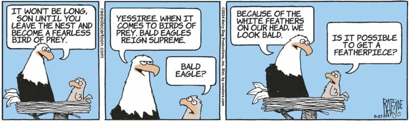 eagles_1755055432