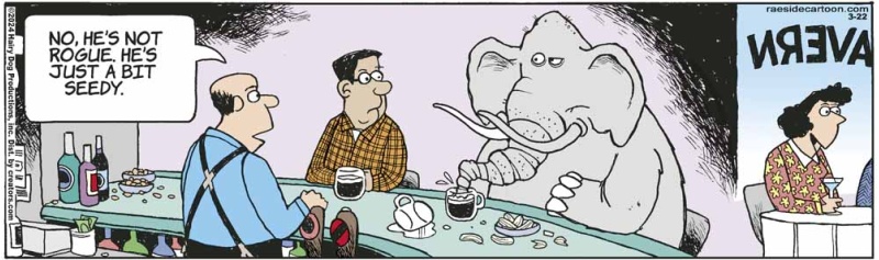 elephant