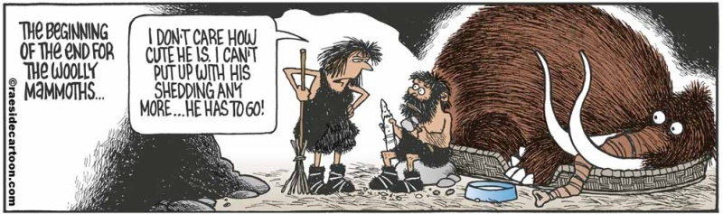 mammothshedding