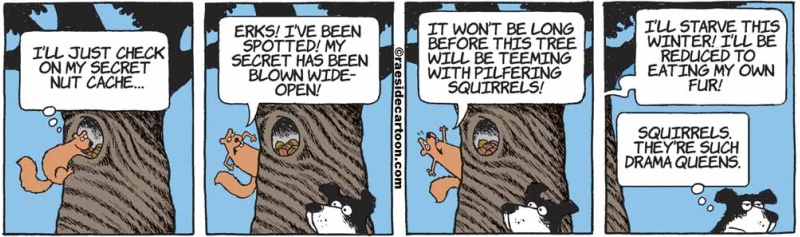 squirreldrama