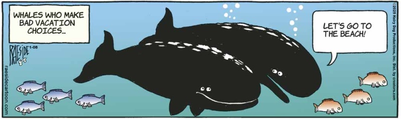 whales