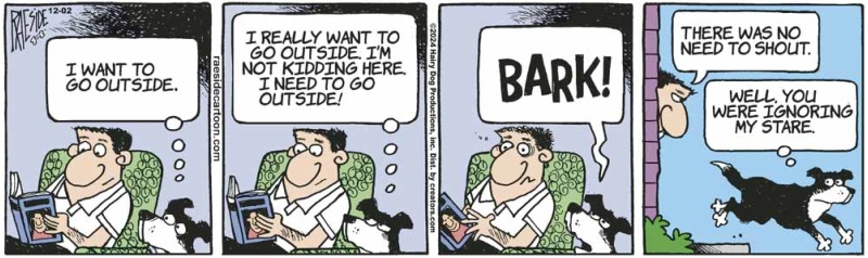 bark_copy