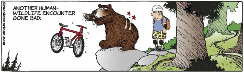 bearbiking