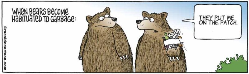 bearpatch