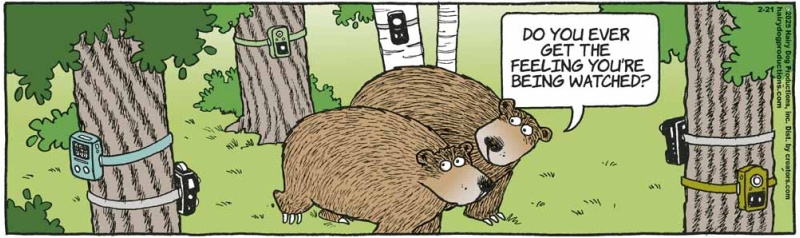 bears_1146602678