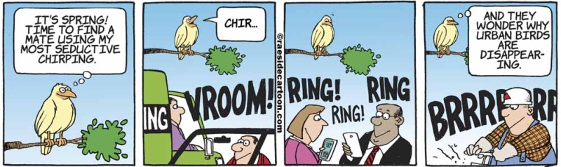 birdchirping