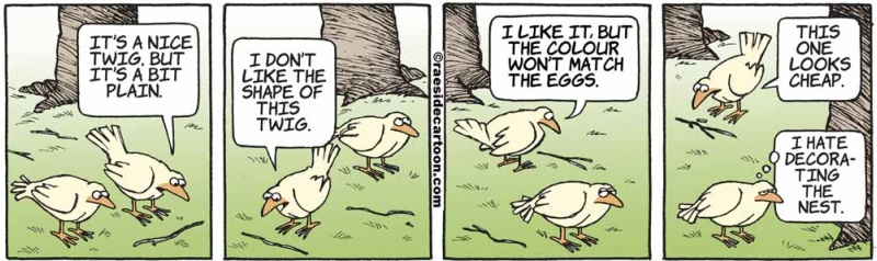 birddecorating