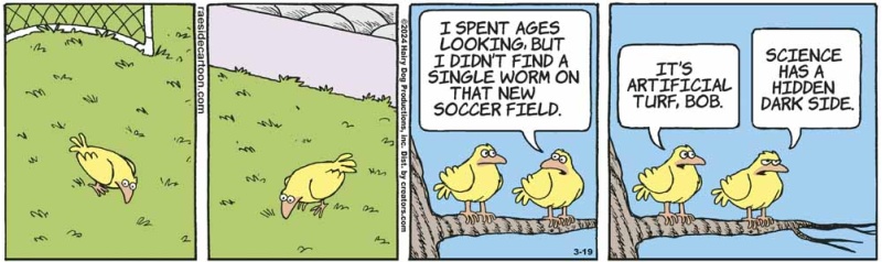 birds