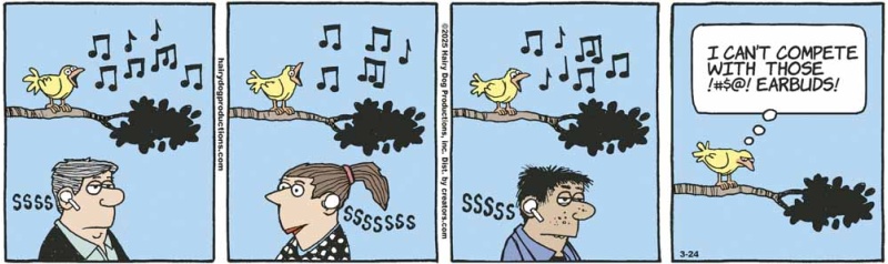 birdsong