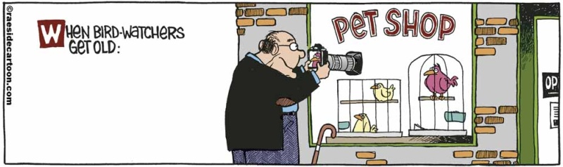 birdswatchers