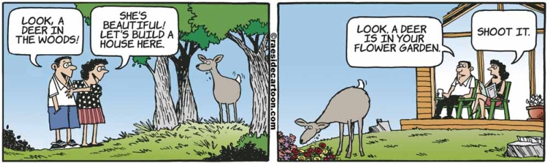 deeringarden
