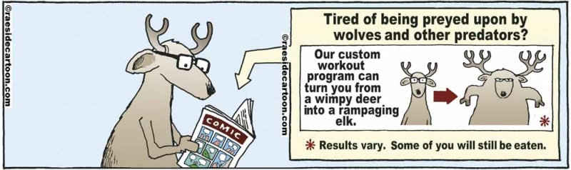 deerworkout