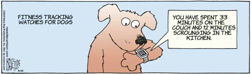 dogwatch