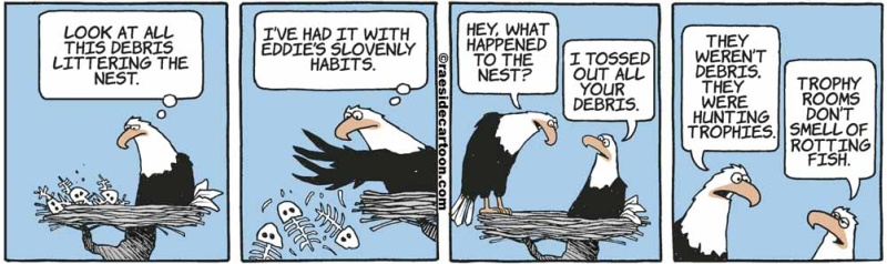 eagledebris
