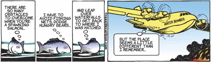 fishwaterbomber