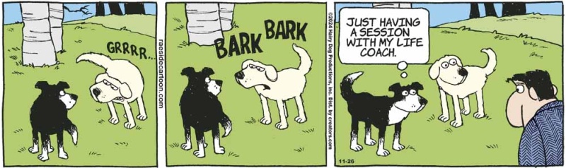 lifecoach