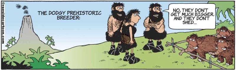 mammothbreeder