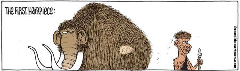 mammothhairpiece