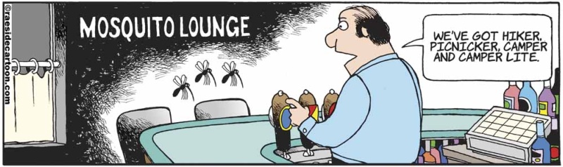 mosquitolounge