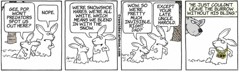 rabbitbling