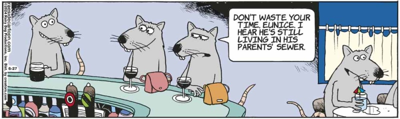 rats