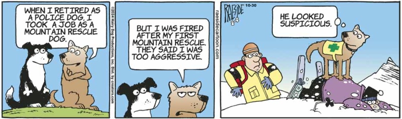 rescuedog