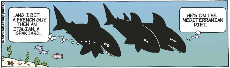 sharkdiet