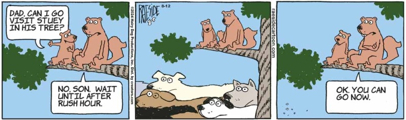 squirrel_rush_hour