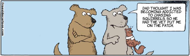 squirrelpatch
