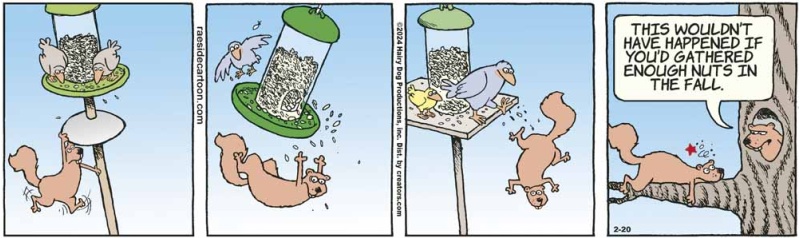 squirrels