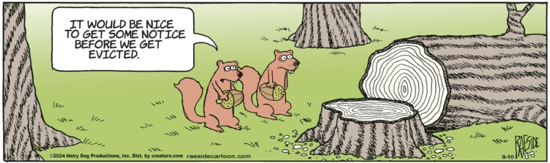 squirreltree