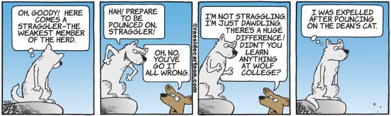 wolfcollege