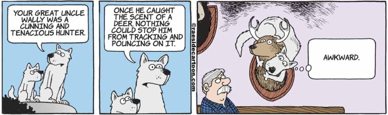 wolftenacious