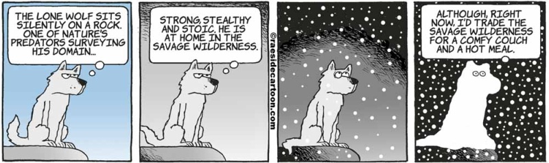 wolfwilderness