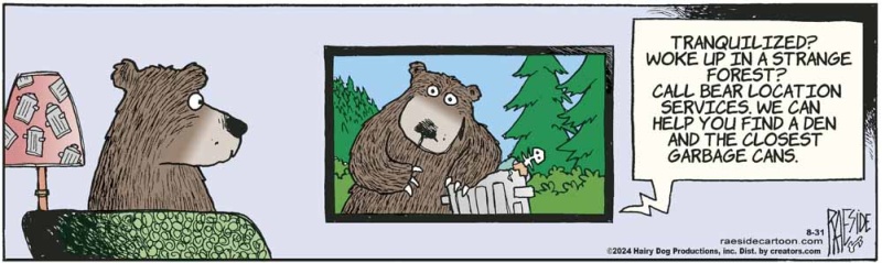bear_relocation