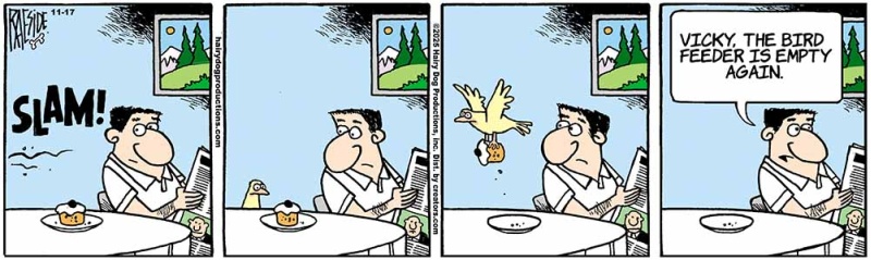 birdfeeder_1018374517