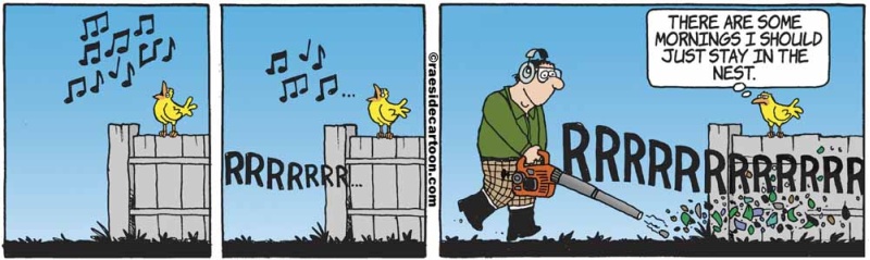 birdsblower