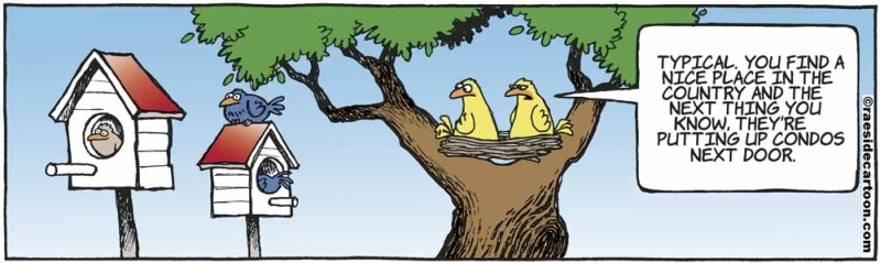 birdscondo