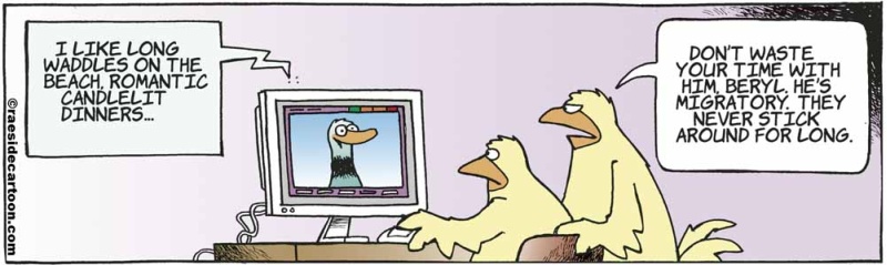 birdsdating