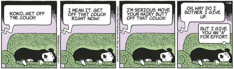 couch_2129405493